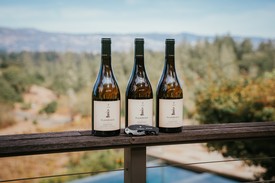 Chardonnay 3-Pack Series