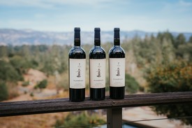 Zinfandel 3-Pack Series